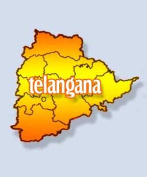 Final-report-on-Telangana-117