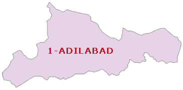Adilabad Andhra Pradesh Parliamentary Constituency 2019, Adilabad Lok sabha Contituency Details, Political News Adilabad, Andhra Pradesh Lok Sabha Elections 2019 News Updates, Andhra Pradesh Parliamentary Constituency details 2019, Adilabad MP Issues